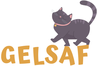Gelsaf Cat's